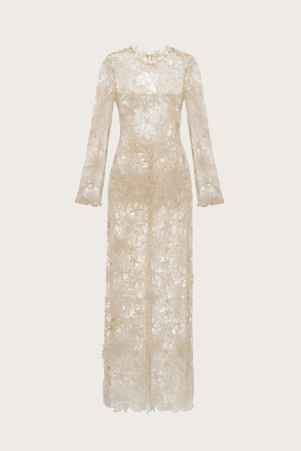 Eternal Lace Bloom