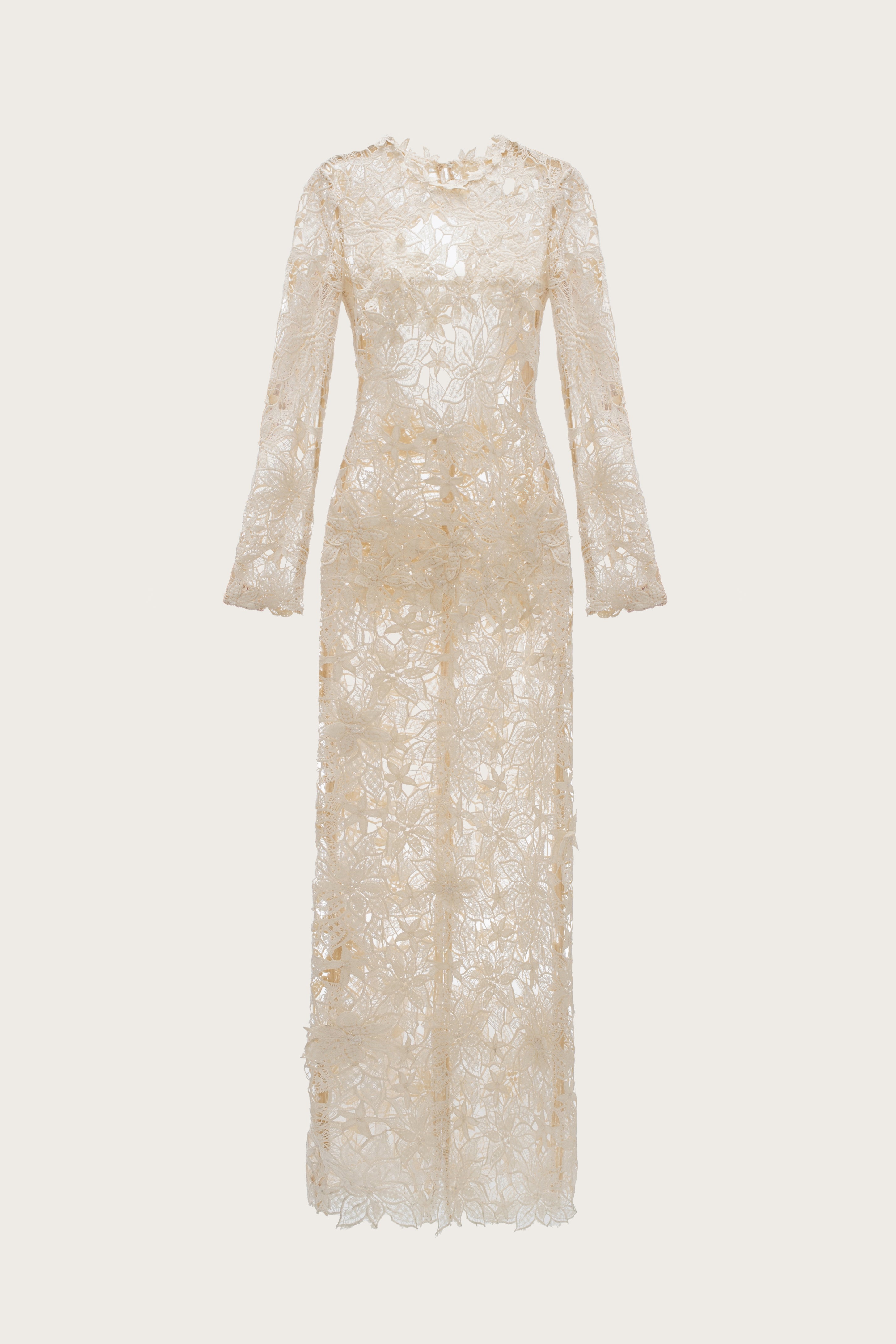Eternal Lace Bloom